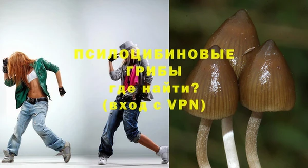 mix Белокуриха