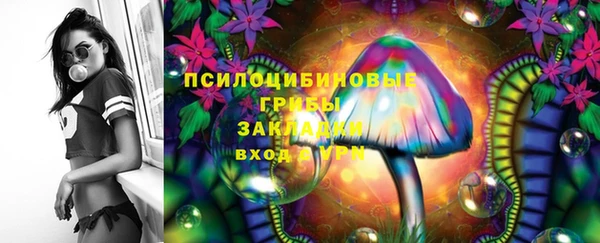 mix Белокуриха