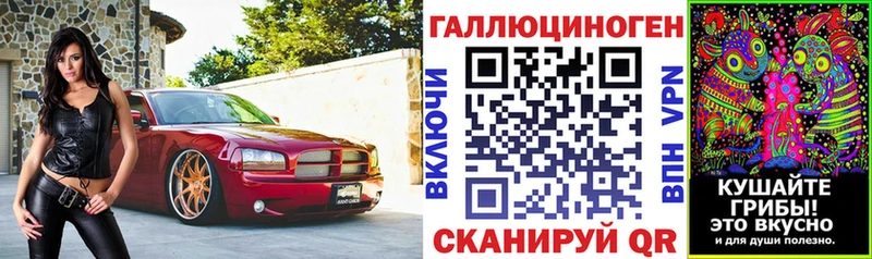 Псилоцибиновые грибы прущие грибы  mega tor  Гай 