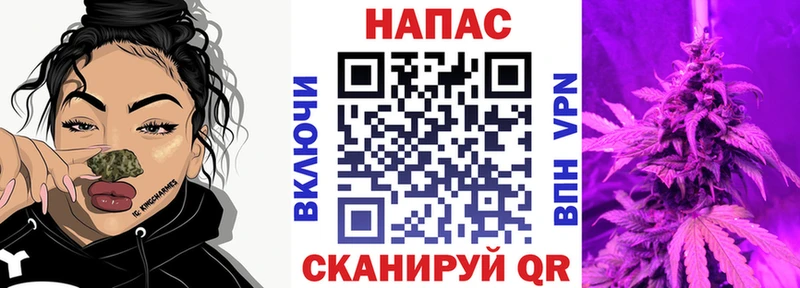 дарк нет официальный сайт  OMG ТОР  Гай  Бошки марихуана семена 